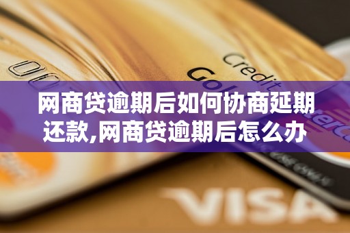 网商贷逾期后如何协商延期还款,网商贷逾期后怎么办理延期手续