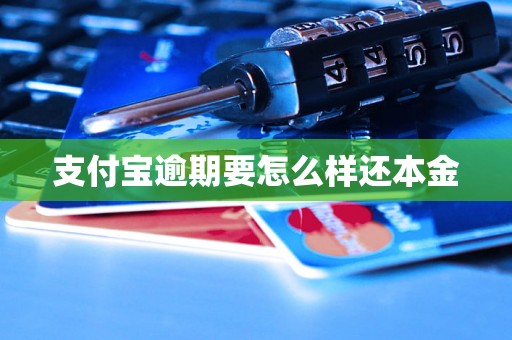 支付宝逾期要怎么样还本金