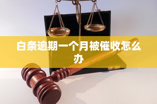 白条逾期一个月被催收怎么办