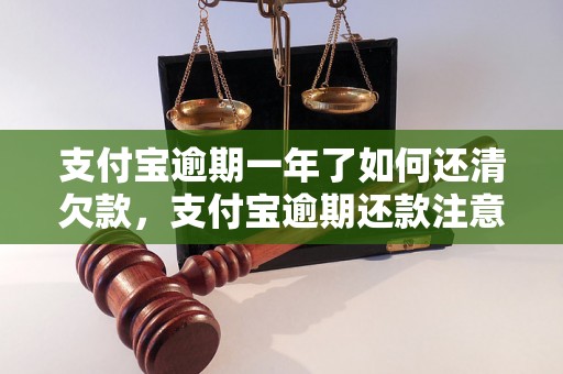 支付宝逾期一年了如何还清欠款，支付宝逾期还款注意事项