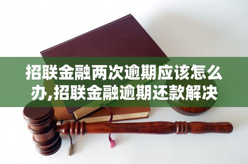 招联金融两次逾期应该怎么办,招联金融逾期还款解决方案