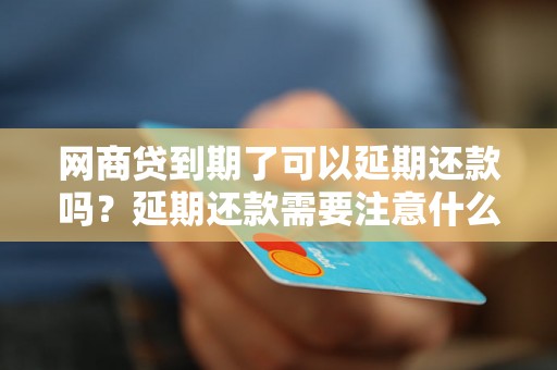 网商贷到期了可以延期还款吗？延期还款需要注意什么？