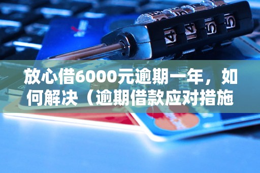 放心借6000元逾期一年，如何解决（逾期借款应对措施）