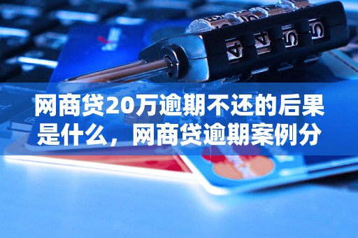 网商贷20万逾期不还的后果是什么，网商贷逾期案例分析