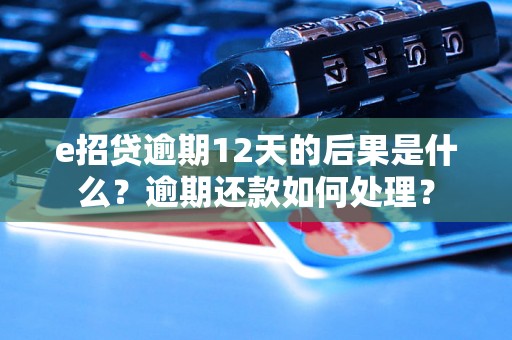 e招贷逾期12天的后果是什么？逾期还款如何处理？