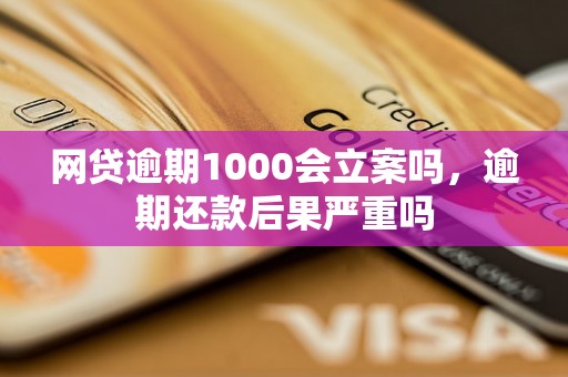 网贷逾期1000会立案吗，逾期还款后果严重吗