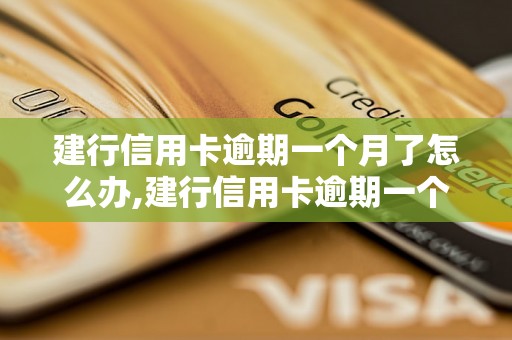 建行信用卡逾期一个月了怎么办,建行信用卡逾期一个月了会有什么后果