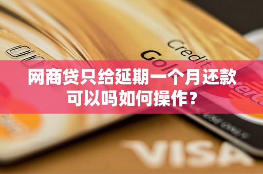 网商贷只给延期一个月还款可以吗如何操作？