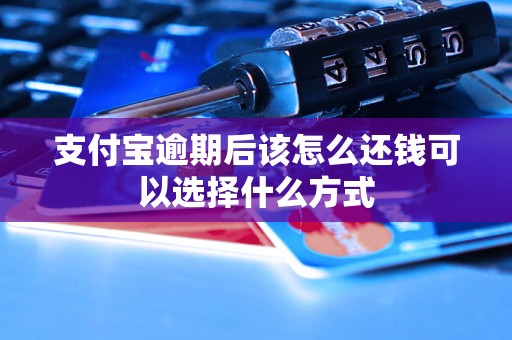 支付宝逾期后该怎么还钱可以选择什么方式