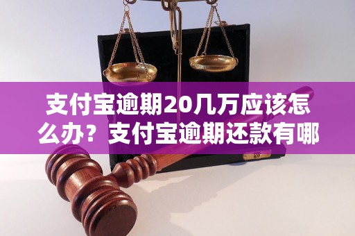 支付宝逾期20几万应该怎么办？支付宝逾期还款有哪些解决办法？