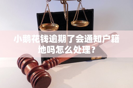 小鹅花钱逾期了会通知户籍地吗怎么处理？