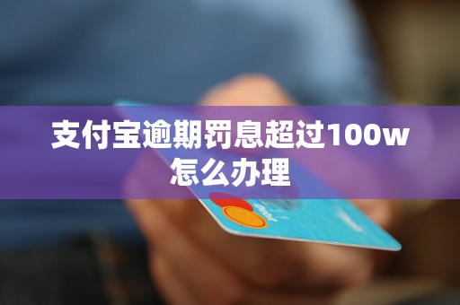 支付宝逾期罚息超过100w怎么办理