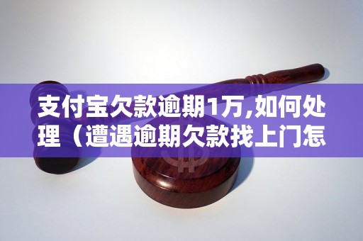 支付宝欠款逾期1万,如何处理（遭遇逾期欠款找上门怎么办）