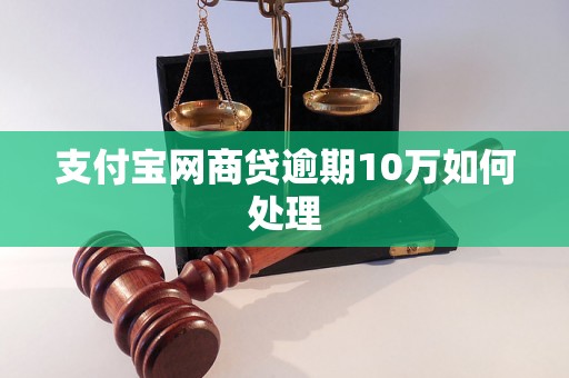 支付宝网商贷逾期10万如何处理