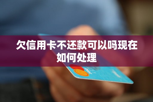 欠信用卡不还款可以吗现在如何处理