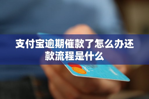 支付宝逾期催款了怎么办还款流程是什么