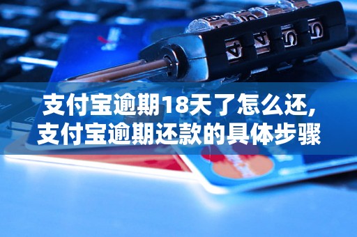 支付宝逾期18天了怎么还,支付宝逾期还款的具体步骤