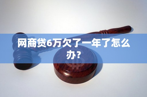 网商贷6万欠了一年了怎么办？