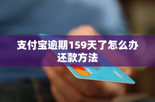 支付宝逾期159天了怎么办还款方法