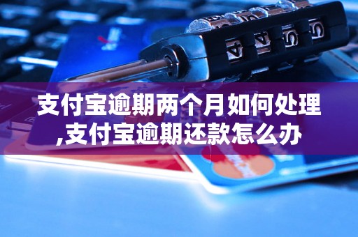 支付宝逾期两个月如何处理,支付宝逾期还款怎么办