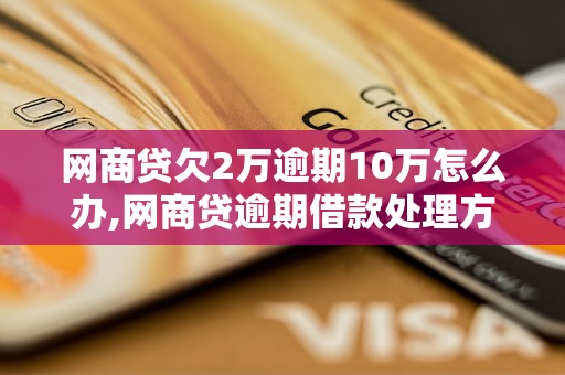 网商贷欠2万逾期10万怎么办,网商贷逾期借款处理方法