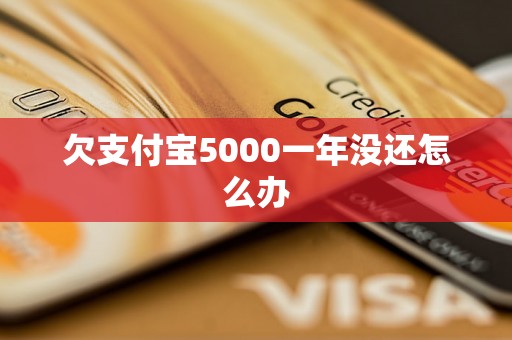 欠支付宝5000一年没还怎么办