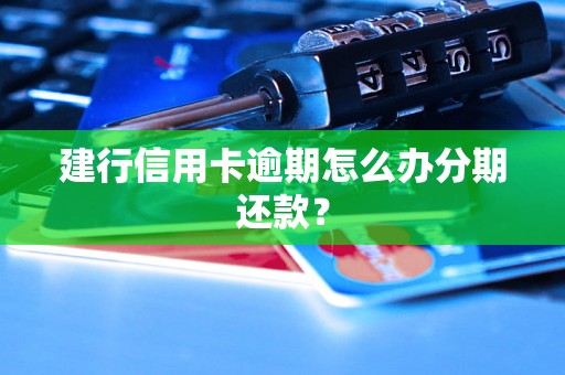 建行信用卡逾期怎么办分期还款？