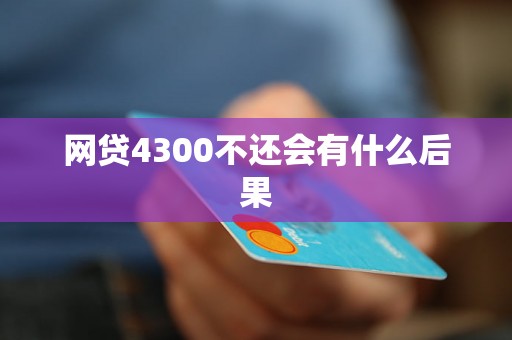 网贷4300不还会有什么后果