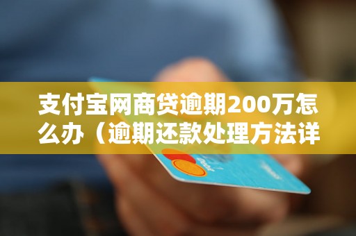 支付宝网商贷逾期200万怎么办（逾期还款处理方法详解）