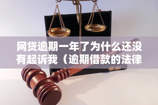 网贷逾期一年了为什么还没有起诉我（逾期借款的法律后果与处理方式）