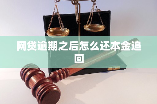 网贷逾期之后怎么还本金追回