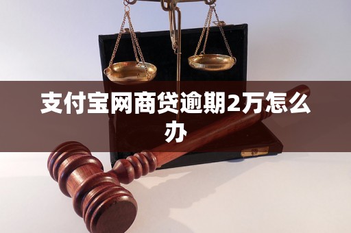 支付宝网商贷逾期2万怎么办