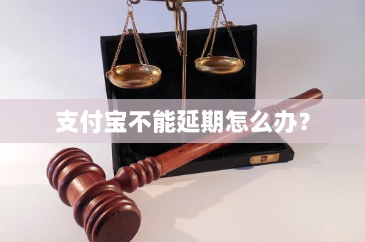 支付宝不能延期怎么办？