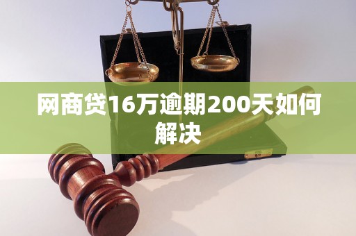 网商贷16万逾期200天如何解决