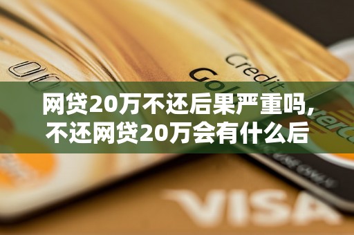 网贷20万不还后果严重吗,不还网贷20万会有什么后果