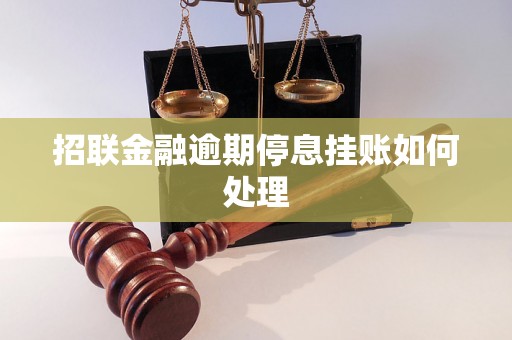 招联金融逾期停息挂账如何处理