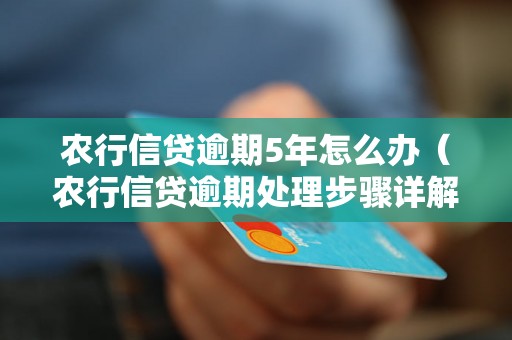 农行信贷逾期5年怎么办（农行信贷逾期处理步骤详解）