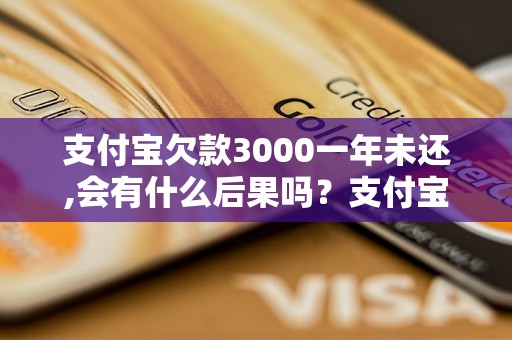 支付宝欠款3000一年未还,会有什么后果吗？支付宝欠款一年不还会被起诉吗？