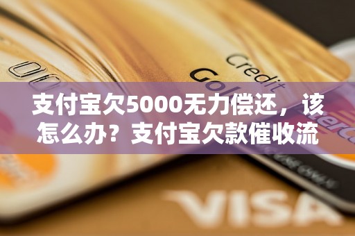 支付宝欠5000无力偿还，该怎么办？支付宝欠款催收流程解析