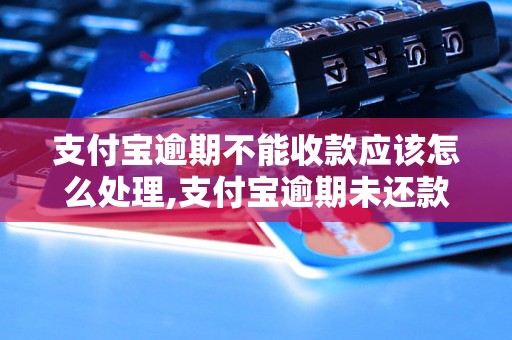 支付宝逾期不能收款应该怎么处理,支付宝逾期未还款怎么办