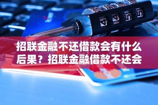 招联金融不还借款会有什么后果？招联金融借款不还会被追究法律责任吗？