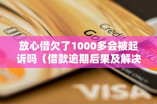 放心借欠了1000多会被起诉吗（借款逾期后果及解决办法）