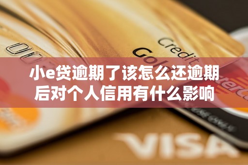 小e贷逾期了该怎么还逾期后对个人信用有什么影响