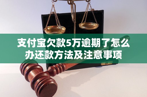 支付宝欠款5万逾期了怎么办还款方法及注意事项