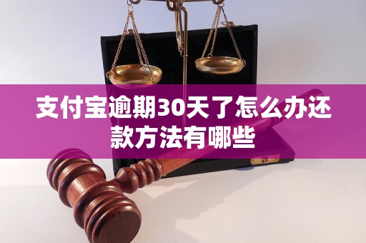 支付宝逾期30天了怎么办还款方法有哪些