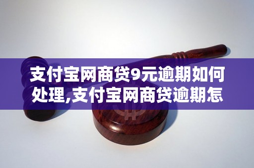 支付宝网商贷9元逾期如何处理,支付宝网商贷逾期怎么办