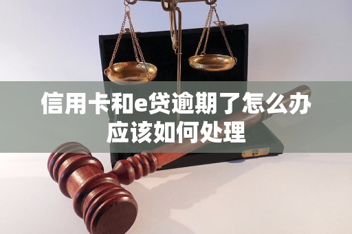 信用卡和e贷逾期了怎么办应该如何处理