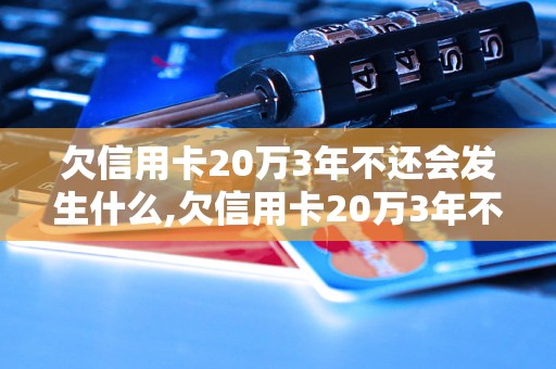 欠信用卡20万3年不还会发生什么,欠信用卡20万3年不还的后果