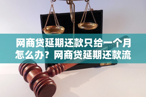 网商贷延期还款只给一个月怎么办？网商贷延期还款流程及注意事项