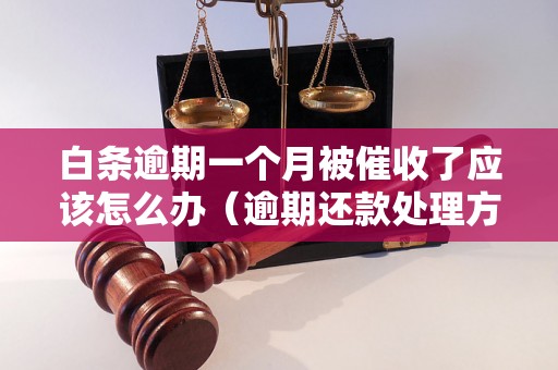 白条逾期一个月被催收了应该怎么办（逾期还款处理方法详解）